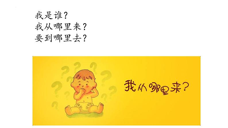 2.4.1+细胞分化成组织-【精华备课】2023-2024学年七年级生物上册同步教学课件(北师大版)02