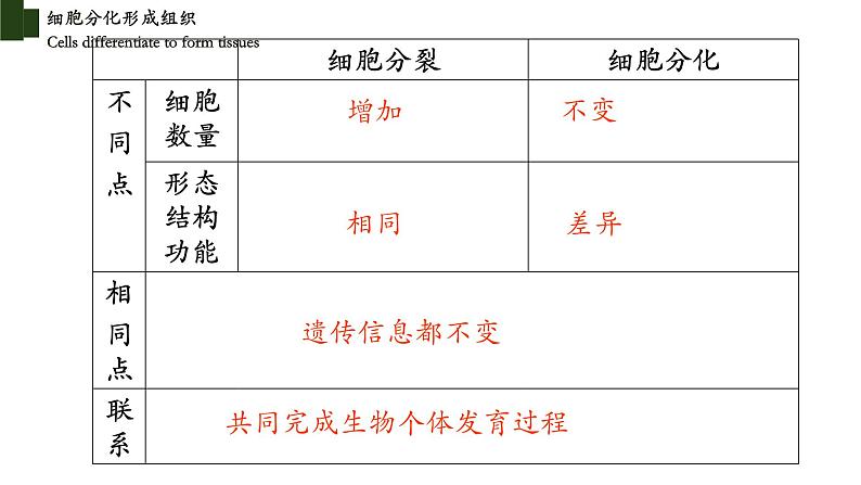 2.4.1+细胞分化成组织-【精华备课】2023-2024学年七年级生物上册同步教学课件(北师大版)08