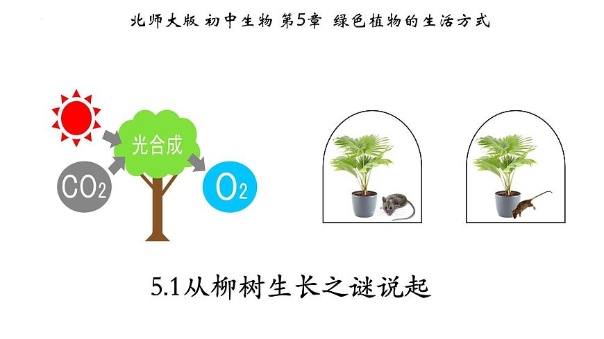 3.5.1+光合作用（第一課時）-【精華備課】2023-2024學(xué)年七年級生物上冊同步教學(xué)課件（北師大版）第1頁