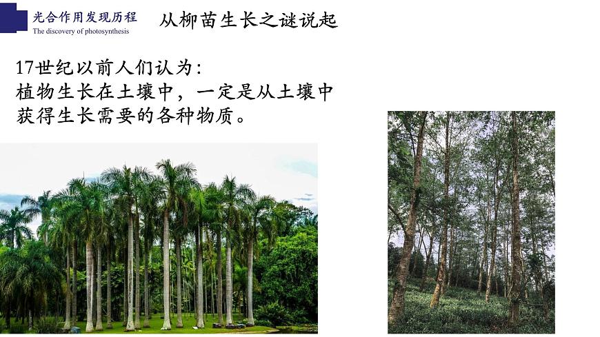 3.5.1+光合作用（第一課時）-【精華備課】2023-2024學(xué)年七年級生物上冊同步教學(xué)課件（北師大版）第4頁