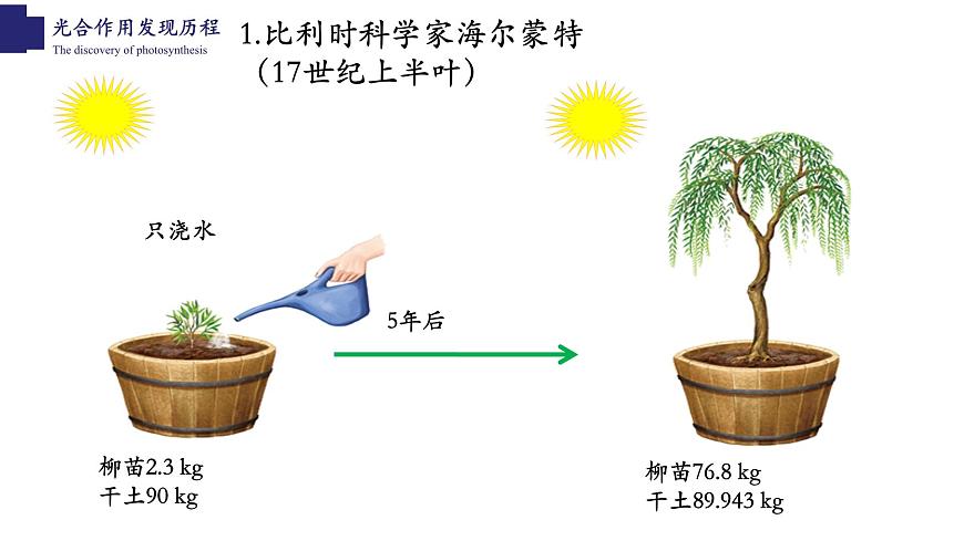 3.5.1+光合作用（第一課時）-【精華備課】2023-2024學(xué)年七年級生物上冊同步教學(xué)課件（北師大版）第5頁