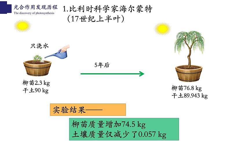 3.5.1+光合作用（第一課時）-【精華備課】2023-2024學(xué)年七年級生物上冊同步教學(xué)課件（北師大版）第6頁