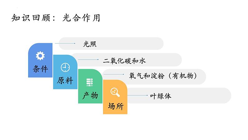 3.5.1+光合作用(第三课时)-【精华备课】2023-2024学年七年级生物上册同步教学课件(北师大版)02
