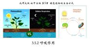初中生物北师大版七年级上册第三单元  生物圈中的绿色植物第5章  绿色开花植物的生活方式第2节  呼吸作用备课课件ppt