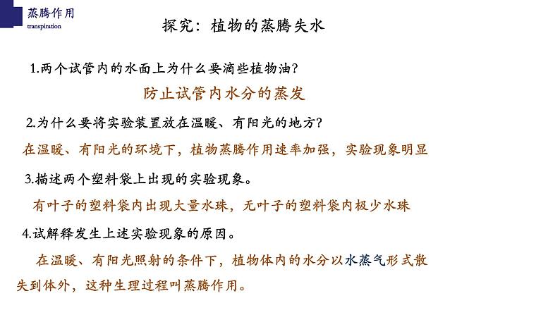 3.5.4+蒸腾作用-【精华备课】2023-2024学年七年级生物上册同步教学课件(北师大版)第5页