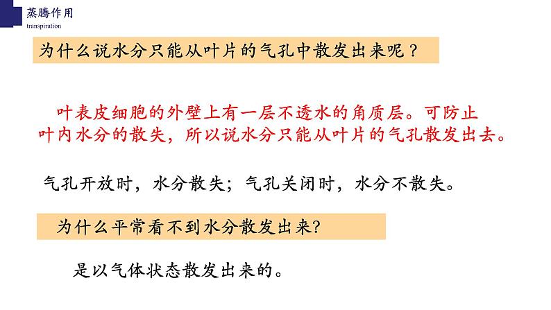 3.5.4+蒸腾作用-【精华备课】2023-2024学年七年级生物上册同步教学课件(北师大版)第7页