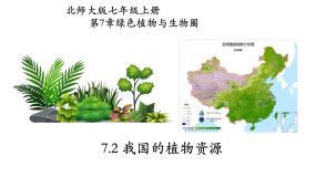初中生物北师大版七年级上册第2节  我国的植物资源备课课件ppt