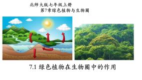 北师大版七年级上册第1节  绿色植物在生物圈中的作用备课ppt课件