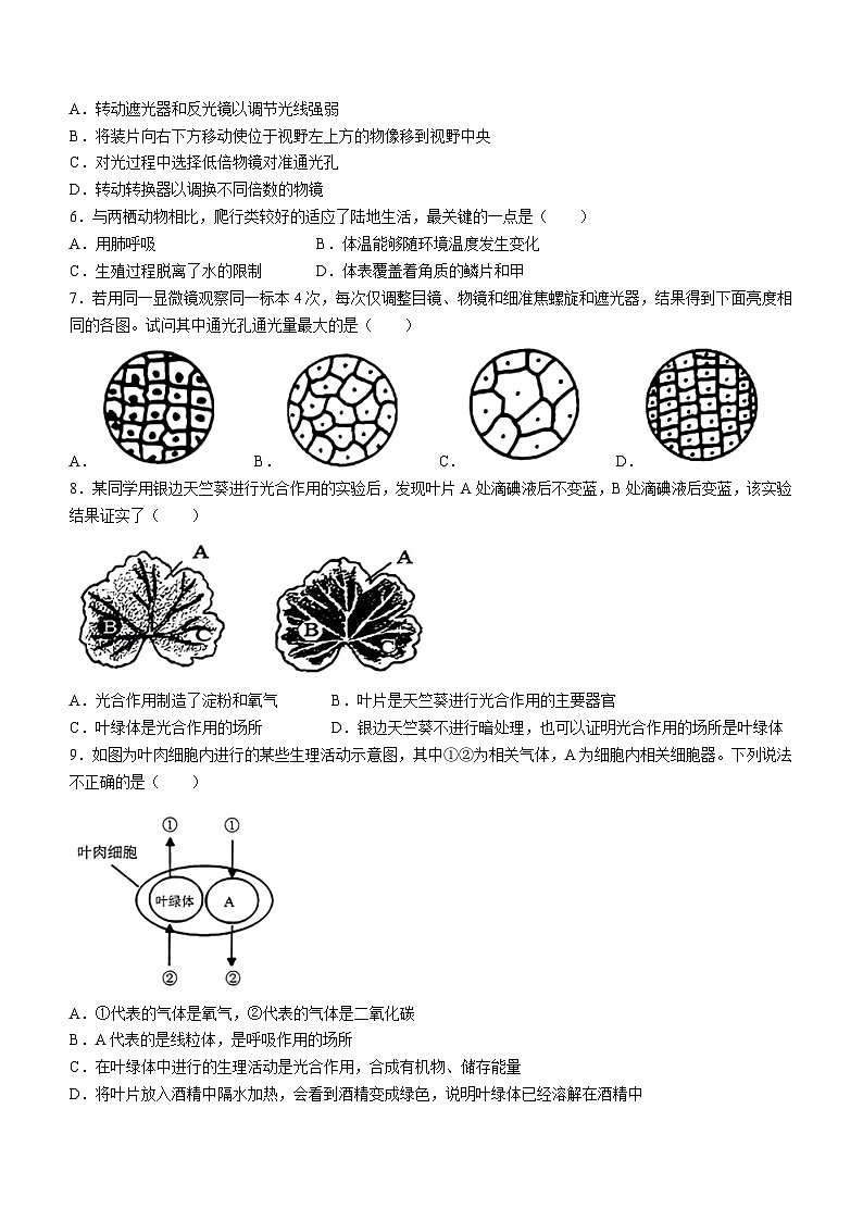 86,山东省济南市槐荫区2022-2023学年七年级下学期开学测试生物试题(无答案)02
