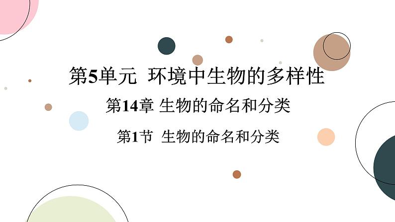 苏科版生物七下14.1《生物的命名和分类》课件PPT第1页