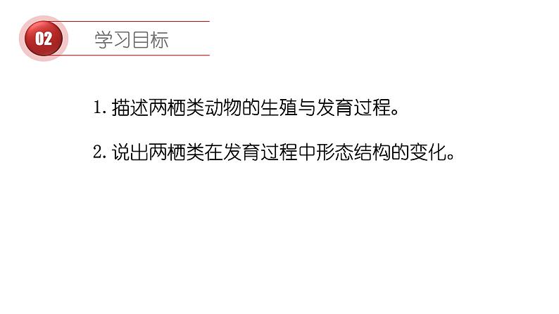两栖类的生殖与发育第3页