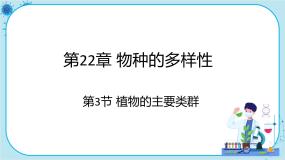 初中生物北师大版八年级下册第3节  植物的主要类群评课ppt课件