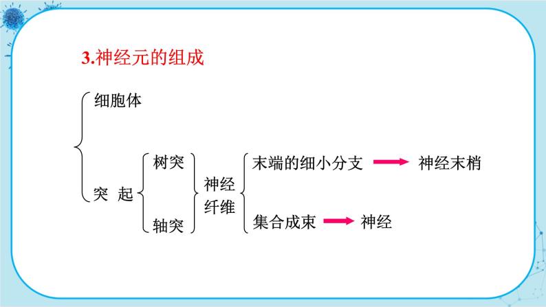 苏教版生物七下12.2.1《人体的神经调节》课件PPT+音视频素材08