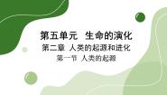 初中生物济南版八年级下册第一节 人类的起源评优课课件ppt