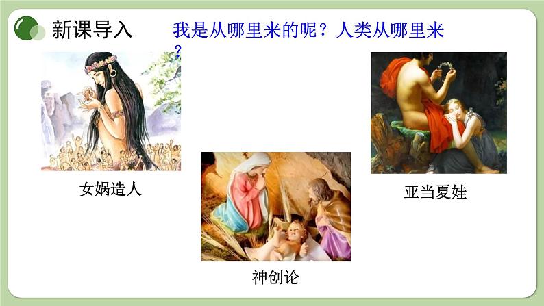 济南版生物八下5.2.1 人类的起源(课件PPT)第2页