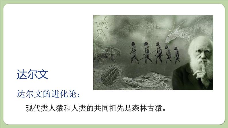 济南版生物八下5.2.1 人类的起源(课件PPT)第4页