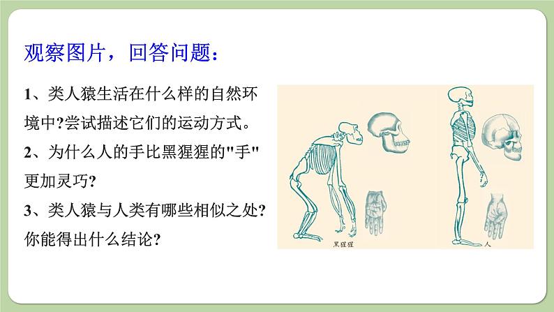 济南版生物八下5.2.1 人类的起源(课件PPT)第6页