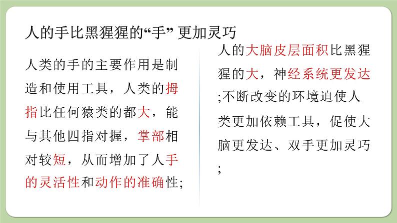 济南版生物八下5.2.1 人类的起源(课件PPT)第8页