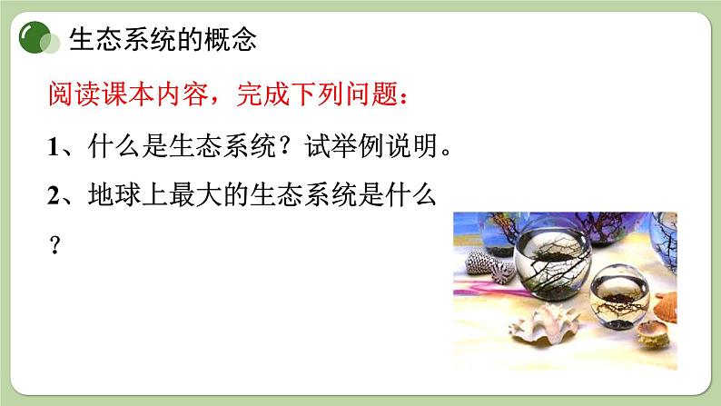 济南版生物八下6.2.1 生态系统的组成(课件PPT)03