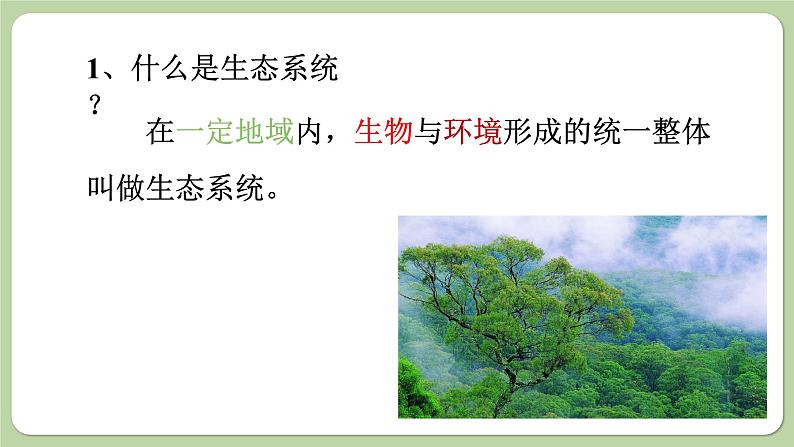 济南版生物八下6.2.1 生态系统的组成(课件PPT)04