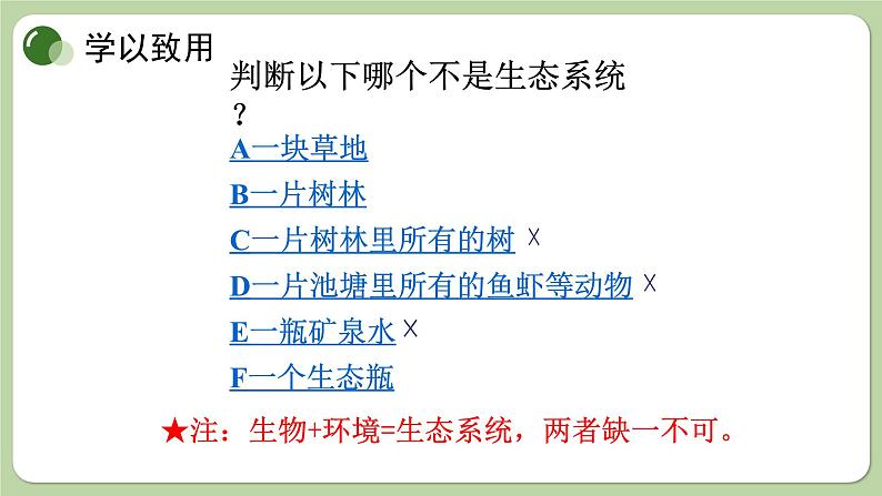 济南版生物八下6.2.1 生态系统的组成(课件PPT)07