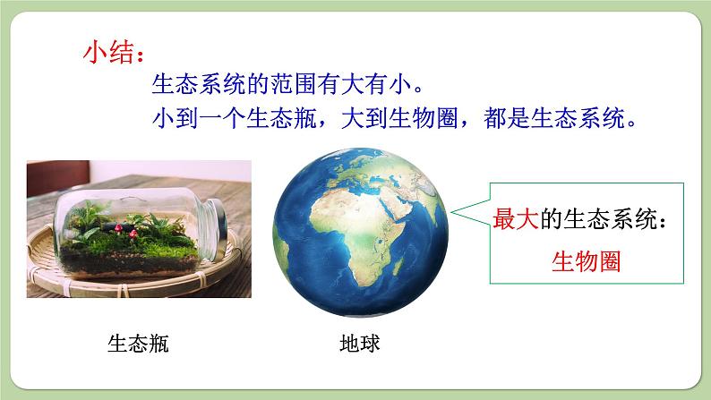 济南版生物八下6.2.1 生态系统的组成(课件PPT)08