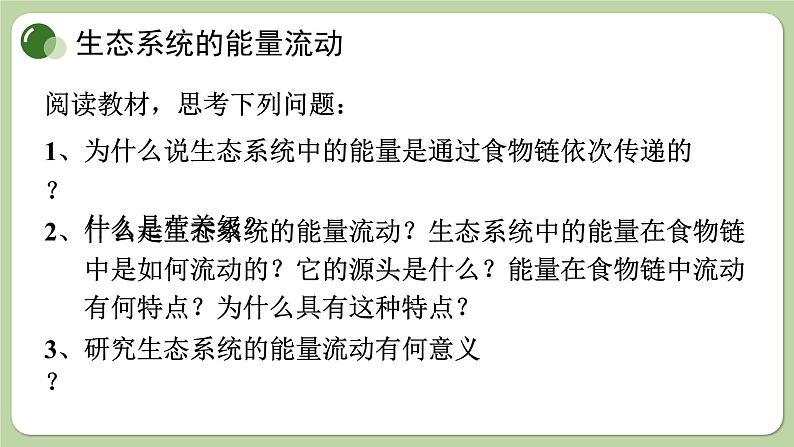 济南版生物八下6.2.3 能量流动和物质循环(课件PPT)第3页