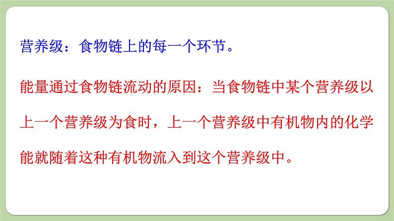 济南版生物八下6.2.3 能量流动和物质循环(课件PPT)第4页