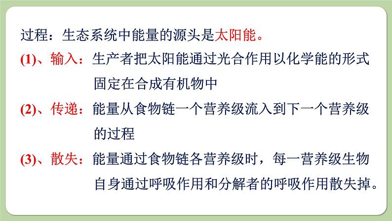济南版生物八下6.2.3 能量流动和物质循环(课件PPT)第5页