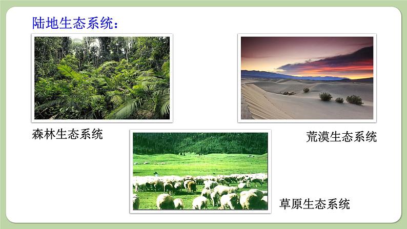 济南版生物八下6.2.4 生态系统的类型(课件PPT)第3页