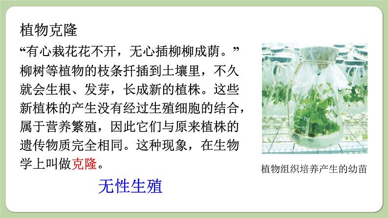 济南版生物八下7.2.2 克隆技术(课件PPT)03