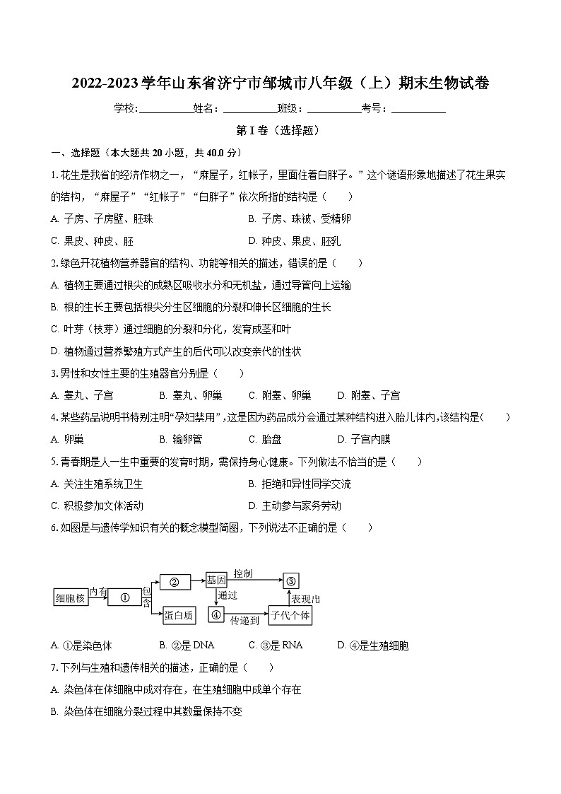 山东省济宁市邹城市2022-2023学年八年级上学期期末生物试卷01