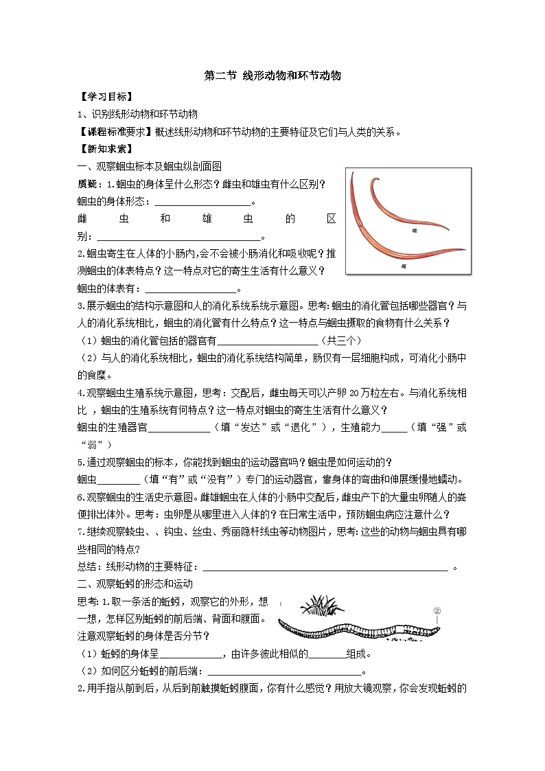 5.1.2线形动物和环节动物导学案人教版生物八年级上册01