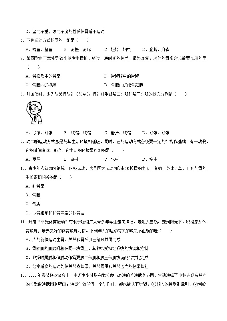 【期中单元测试卷】（北师大版）2023-2024学年八年级生物上册 第15章 动物的运动 -试卷02