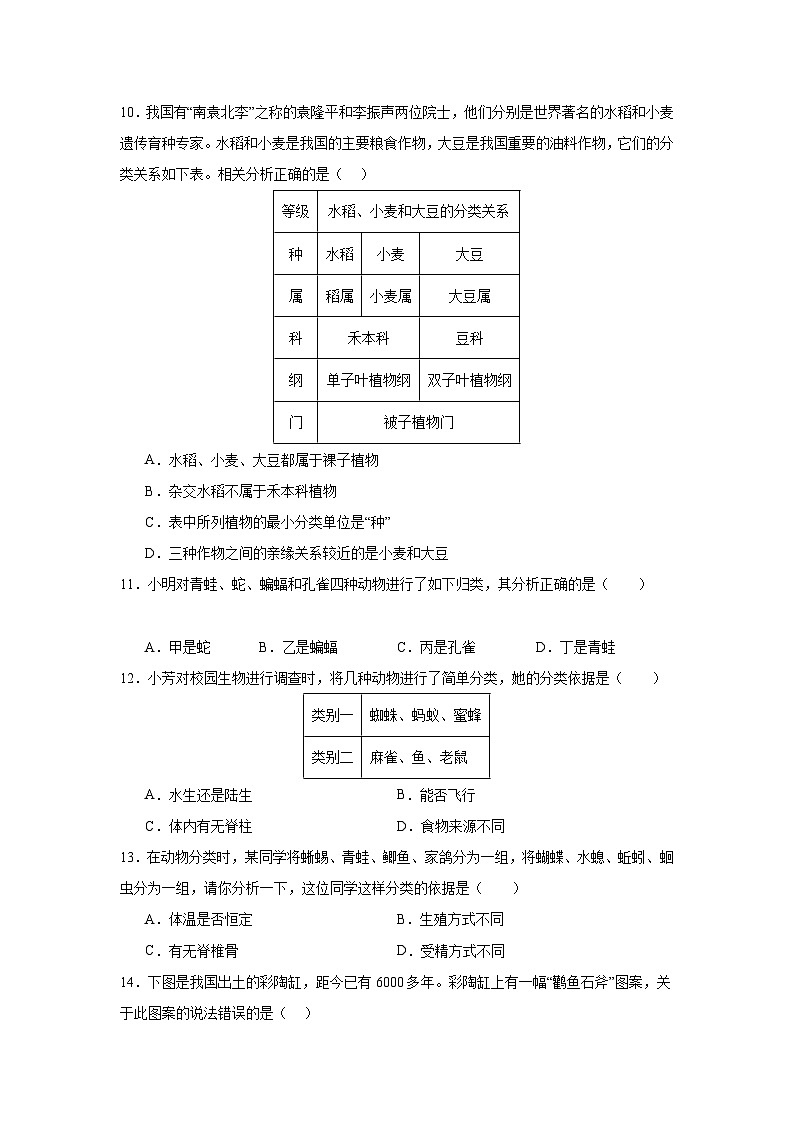 【期中單元測試卷】（人教版）2023-2024學(xué)年八年級生物上冊 第一章 根據(jù)生物的特征進(jìn)行分類【基礎(chǔ)卷】（原卷版）第3頁