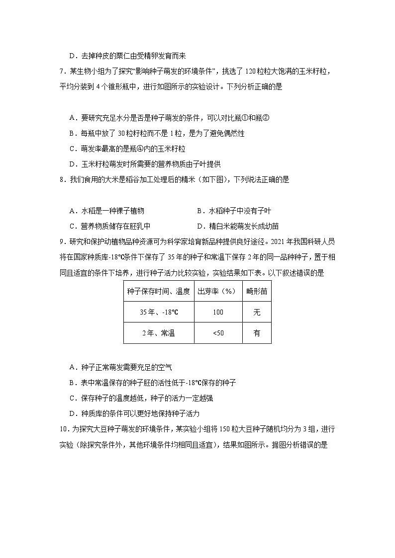 【期中单元测试卷】(人教版)2023-2024学年七年级生物上册 第二章 被子植物的一生【提升卷】(原卷版)第2页