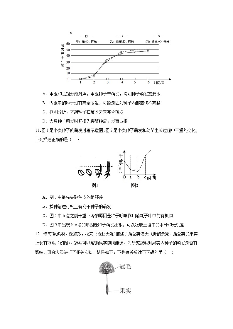 【期中单元测试卷】(人教版)2023-2024学年七年级生物上册 第二章 被子植物的一生【提升卷】(原卷版)第3页