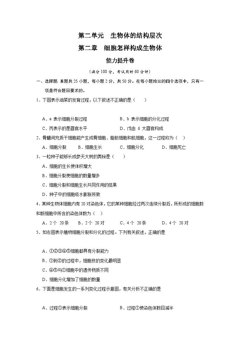【期中单元测试卷】(人教版)2023-2024学年七年级生物上册 第二章 细胞怎样构成生物体【单元测试·提升卷】01