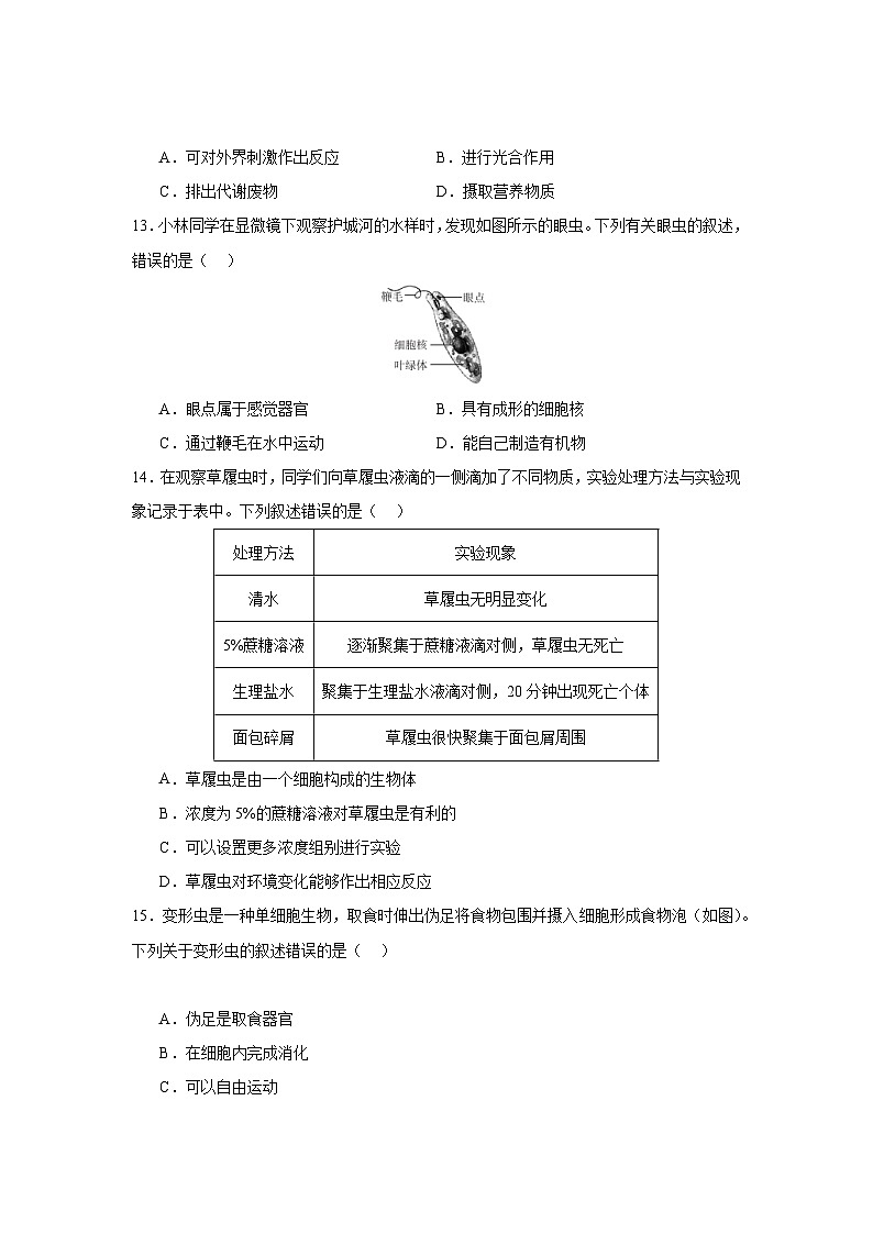 【期中单元测试卷】(人教版)2023-2024学年七年级生物上册 第二章 细胞怎样构成生物体【单元测试·提升卷】03
