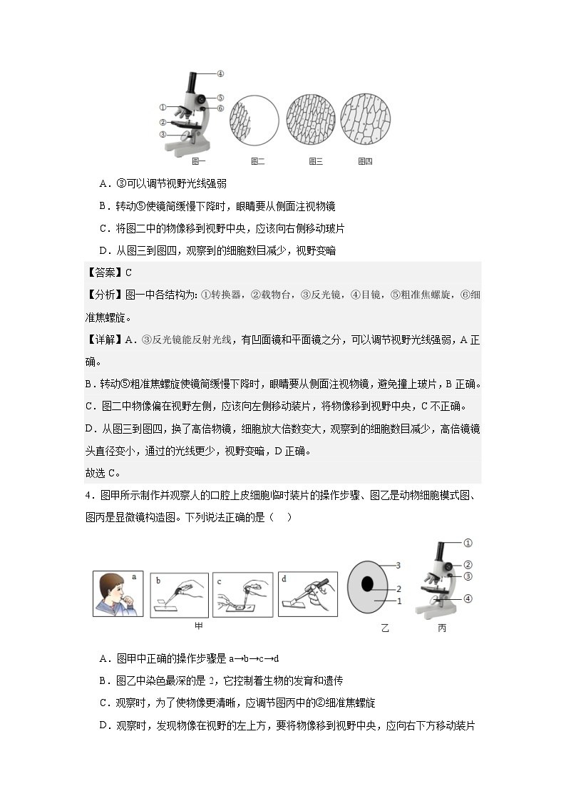 【期中单元测试卷】（人教版）2023-2024学年七年级生物上册 第一章 细胞是生命活动的基本单位【单元测试·基础卷】03