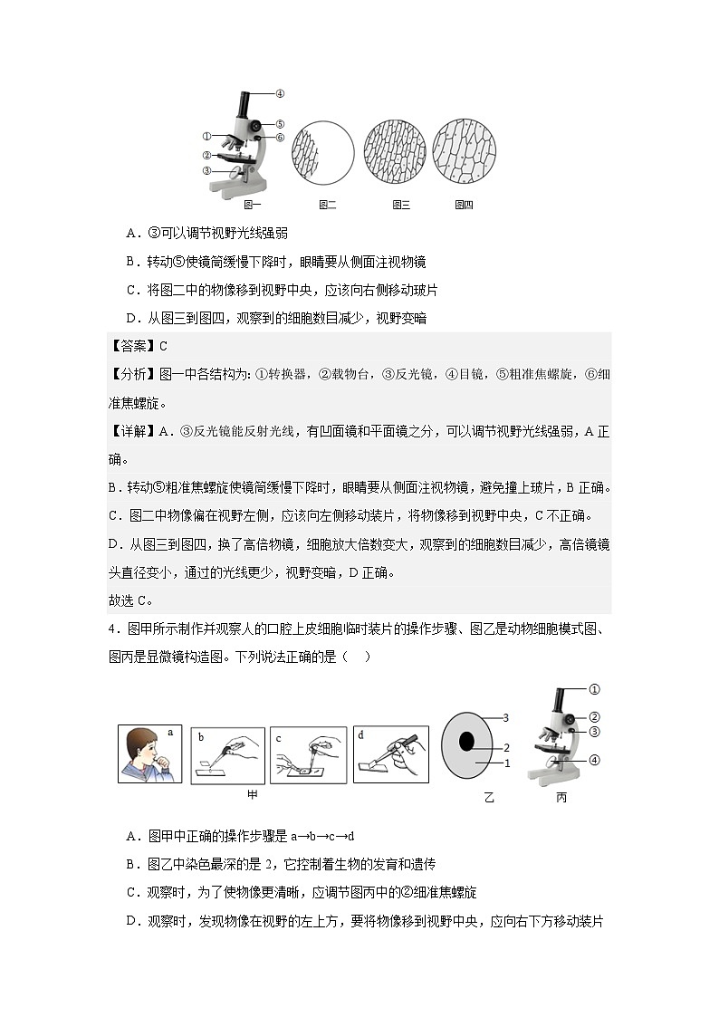 【期中单元测试卷】(人教版)2023-2024学年七年级生物上册 第一章 细胞是生命活动的基本单位【单元测试·基础卷】03