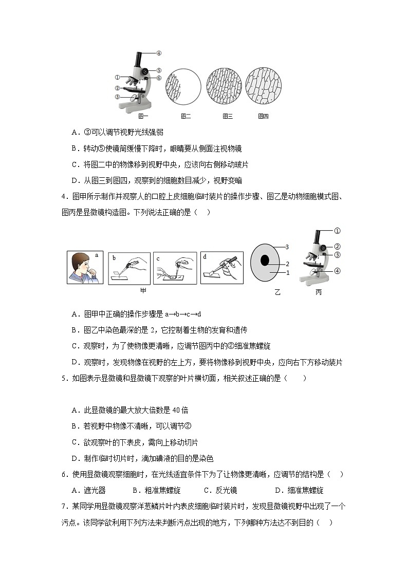 【期中单元测试卷】(人教版)2023-2024学年七年级生物上册 第一章 细胞是生命活动的基本单位【单元测试·基础卷】02