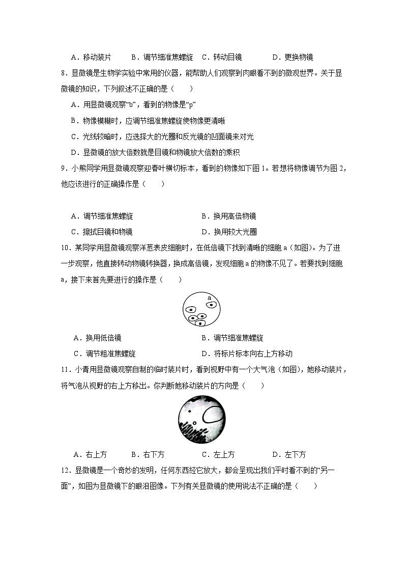【期中单元测试卷】(人教版)2023-2024学年七年级生物上册 第一章 细胞是生命活动的基本单位【单元测试·基础卷】03