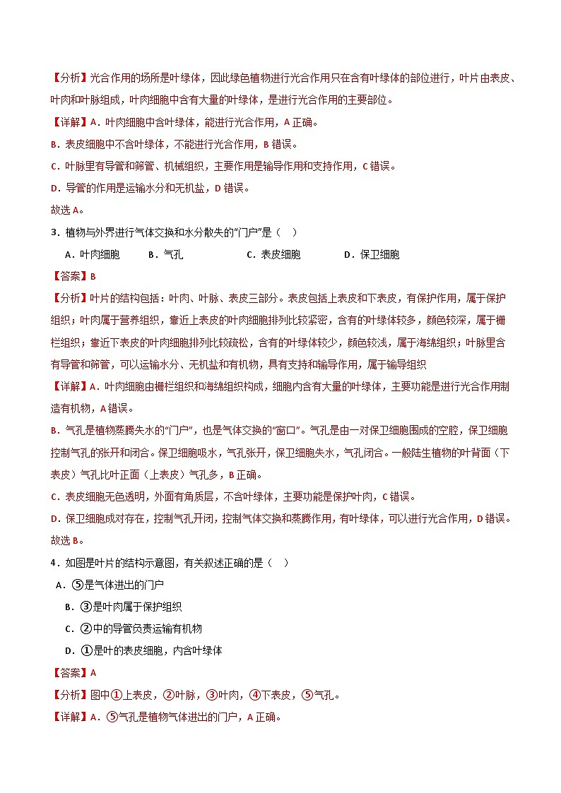 【期中单元测试卷】(苏教版)2023-2024学年七年级生物上册 第六章 绿色植物的光合作用和呼吸作用【单元测试卷】(解析版)第2页