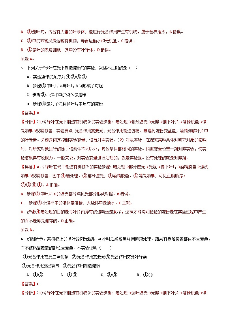 【期中单元测试卷】(苏教版)2023-2024学年七年级生物上册 第六章 绿色植物的光合作用和呼吸作用【单元测试卷】(解析版)第3页
