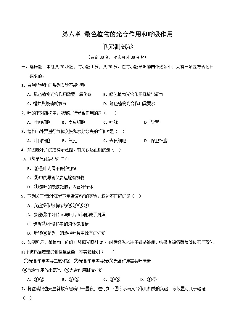 【期中单元测试卷】(苏教版)2023-2024学年七年级生物上册 第六章 绿色植物的光合作用和呼吸作用【单元测试卷】(原卷版)第1页