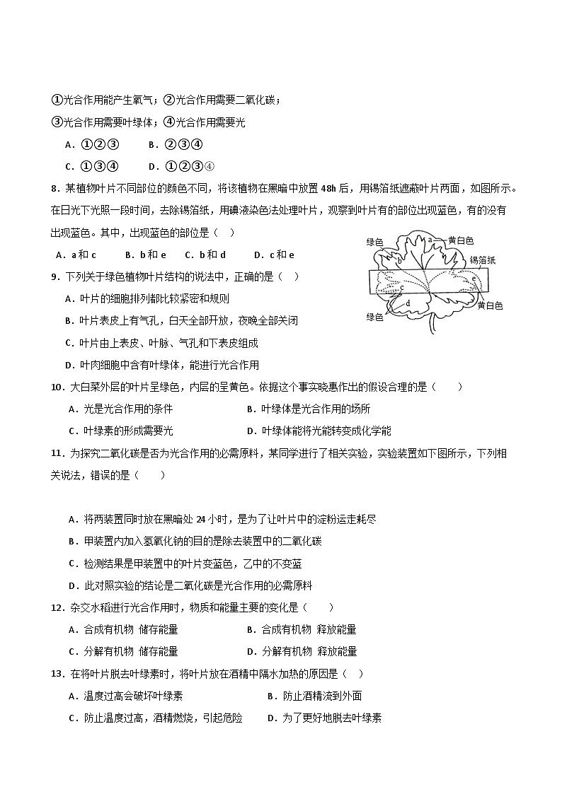 【期中单元测试卷】(苏教版)2023-2024学年七年级生物上册 第六章 绿色植物的光合作用和呼吸作用【单元测试卷】(原卷版)第2页