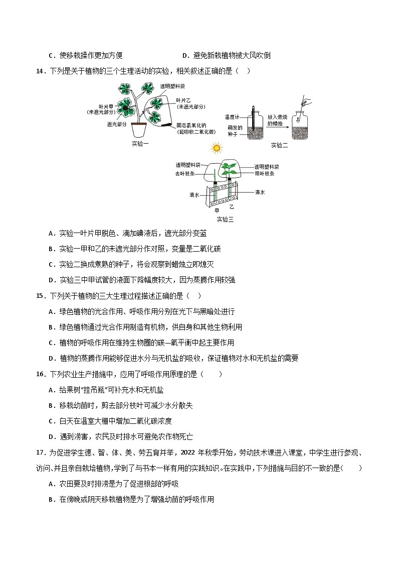 【期中单元测试卷】(苏教版)2023-2024学年七年级生物上册 第七章 绿色植物在生物圈中的作用【单元测试卷】(原卷版)第3页