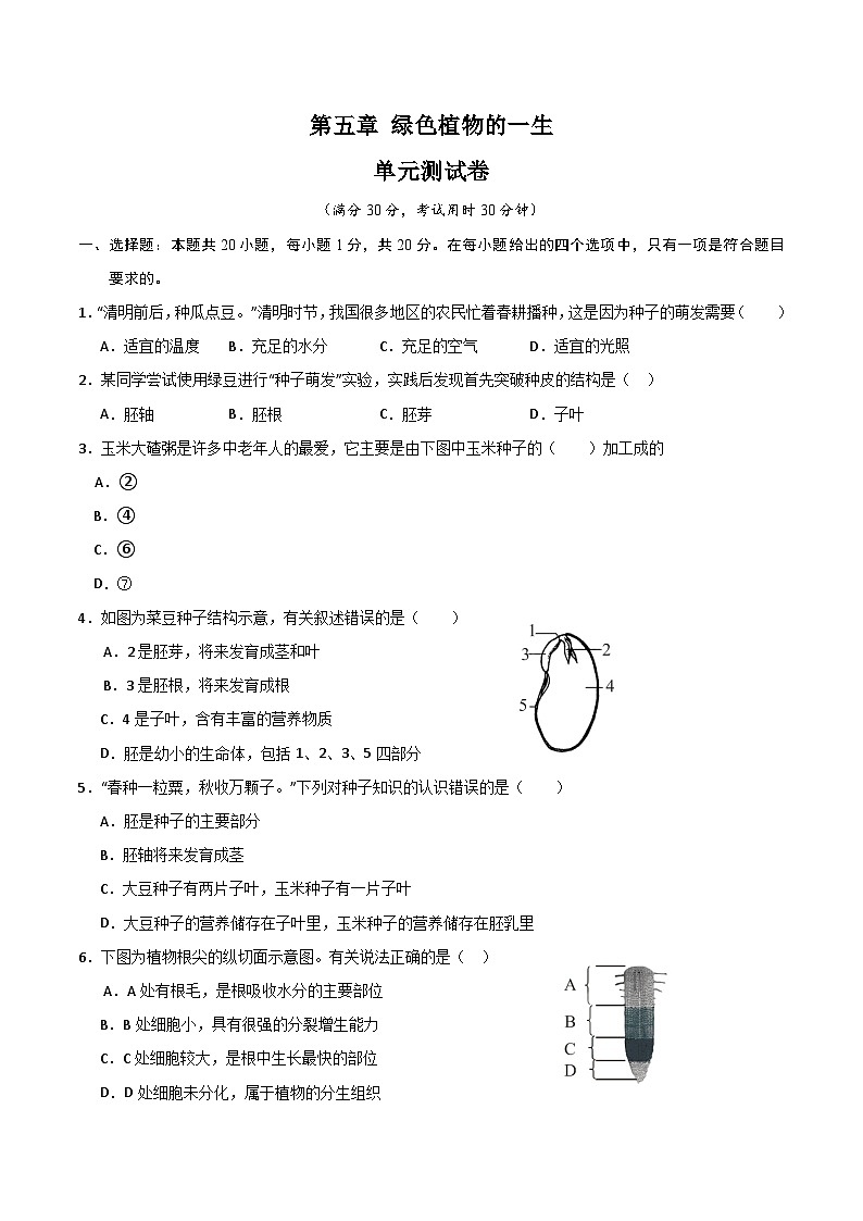 【期中单元测试卷】(苏教版)2023-2024学年七年级生物上册 第五章 绿色植物的一生【单元测试卷】(原卷版)第1页