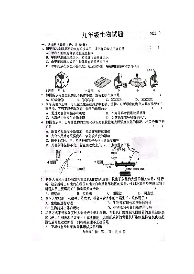 山东省菏泽经济技术开发区多校联考2023-2024学年九年级上学期9月月考生物试题第1页